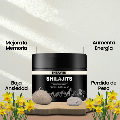 Shilajits | Sana Todas Las Debilidades